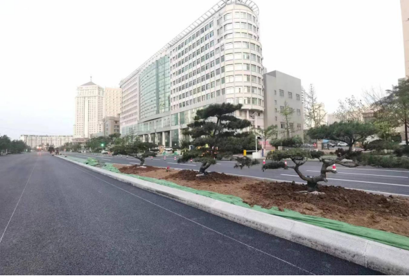 1685598248985258.png image-20230601081924-3.png